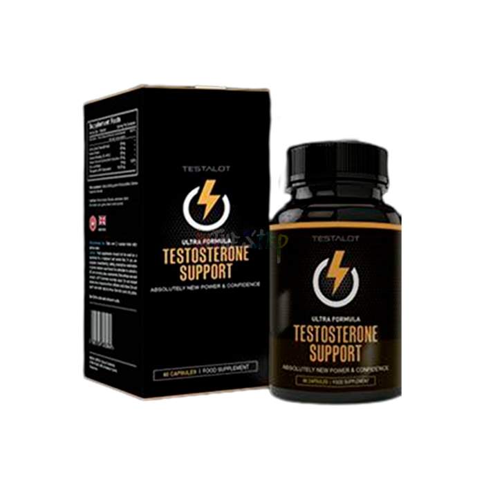 ⟬ Testosterone Support ⟭ ⟬ constructeur de muscle ⟭