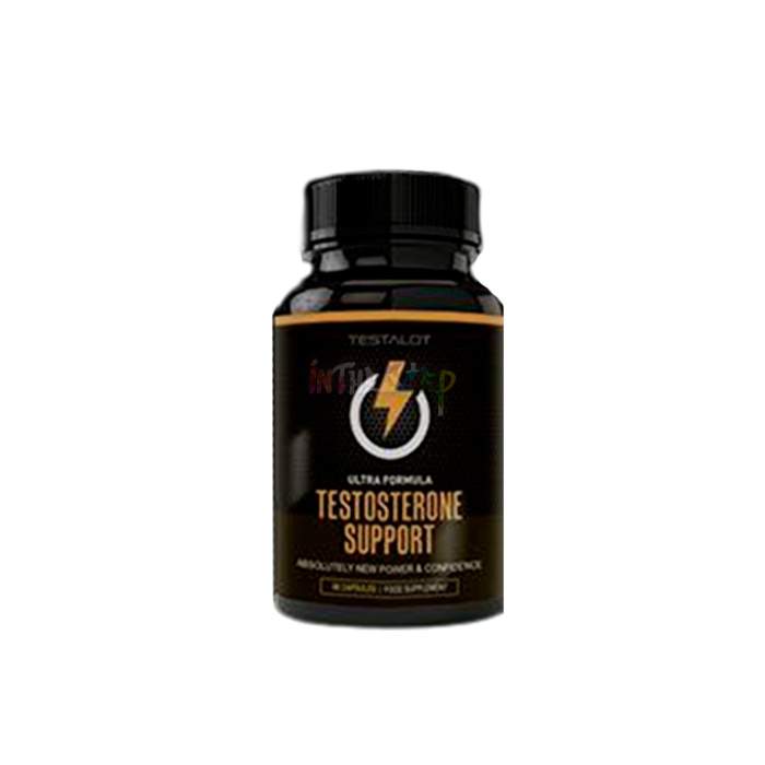 ⟬ Testosterone Support ⟭ ⟬ constructeur de muscle ⟭