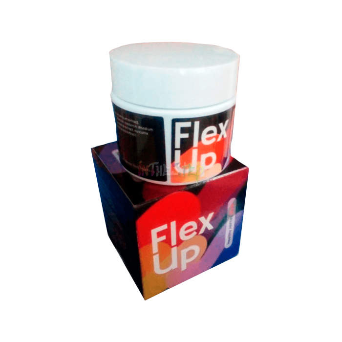 ⟬ Flex Up ⟭ ⟬ joint health product ⟭