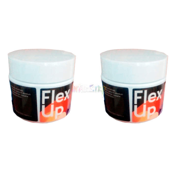 ⟬ Flex Up ⟭ ⟬ joint health product ⟭